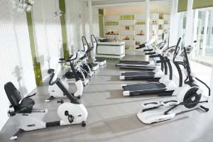X-Trend’s White Marvel Creates a New Sensation in the Fitness Equipment Market -- Drawing upon their extensive professional background and technology in the motorcycle accessory field, Luntai Enterprise successfully developed cardiopulmonary - aerobic fitness equipment sold under the X-trend brand and their debut products were well received on the marketplace.