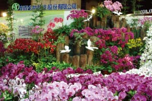 Yu Pin Biological Technology Blooms Globally from Its Roots in Taiwan -- Having decades of experience in the orchid business, Yu Pin Biological Technology’s operations cover every aspect of the orchid business from propagation, tissue cultivation, cultivation and sale.