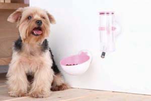 Mojin Stresses Product Development to Build Markets and Satisfy Customer Requirements