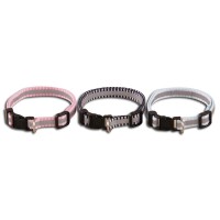 Pet collar & Leash