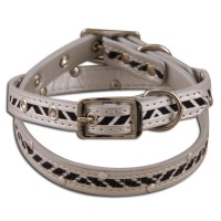 Pet collar & Leash