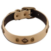 Pet collar