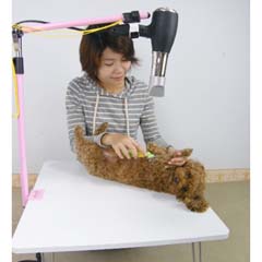 Hair dryer fixation / 2