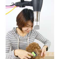 Hair dryer fixation / 3