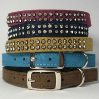 Velvet dog collar