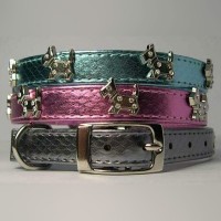 PU dog collar