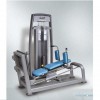 LEG PRESS TH9919