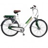 ELETRIC BIKE NO.29E2105 (NEW)