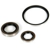 Oil Seal