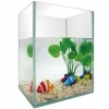 Fish tank-5pc-featured aquarium