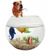 Sell Fish tank-Take a break-featured aquarium