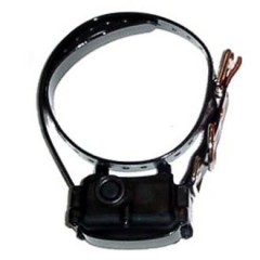 PET  canny collar / 3