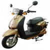 Motorcycle (City Cruiser-golden)