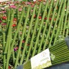 Gardening fences  Fencing Of Bamboo-Like 12048