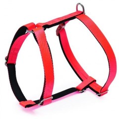 Pet collars  Bi-color nylon range NCD-20P/NCD-20 / 2