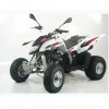 ATVs (All Terrain Vehicles) SPORT SP 250 - EEC ATV - Homologated 2 seats