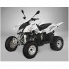 ATVs (All Terrain Vehicles) SPORT FU300SD- IRS -EEC ATV Homologated 2 seats