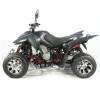 ATVs (All Terrain Vehicles) SPORT SP450SM - EEC ATV - Homologated 2 seats