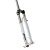 Front forks AXON werx ELD 15QLC Ti CTS