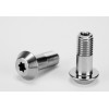 Adjuster Bolt F5200