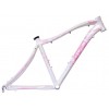 FRAME MTB AOLLOY GRACE 26