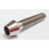 Screw Bolt WFSC00027