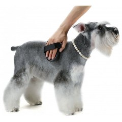 Palm-style pin brushes / 3