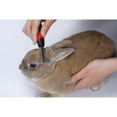 Mini Pin Brushes / 2