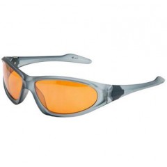 Sunglasses H1714