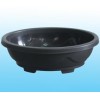 Ellipse Grass Flower Pot