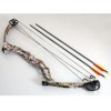 Single Cam Compound Bow CO-011