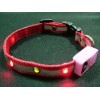 Pet Collars PGT-030