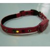 Pet Collars PGT-031