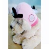 Pet Clothes P081204