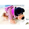 Pet Clothes P081201