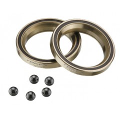 Ceramic Balls, Titanium Coated High Rolling Sealed ACBearing / 2