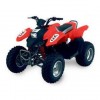 ATV ZEBRA ZB125/150