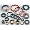 Oil seal