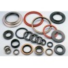 OIL SEAL