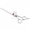 Pet Scissors NPK04