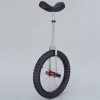 UNICYCLE