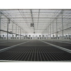 Plastic Nursery Bed combination / 2