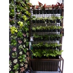 Plastic Nursery Bed combination / 3