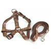 Ribbon overlay Dog Harness/Leash