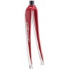 Aluminum Bicycle Forks RL03