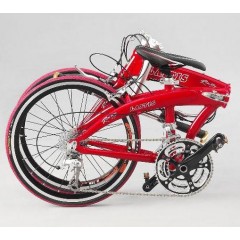 FOLDING BIKE / 2