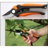 Pruner