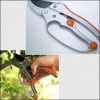 Pruner