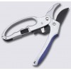 Garden Scissors