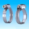 Zebra Hose Clamp